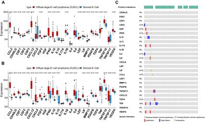 Comprehensive Characterization of Cachexia-Inducing Factors in Diffuse Large B-Cell Lymphoma Reveals a Molecular Subtype and a Prognosis-Related Signature